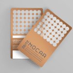Zeitz MOCAA Bronze Membership