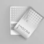 Zeitz MOCAA Silver Membership