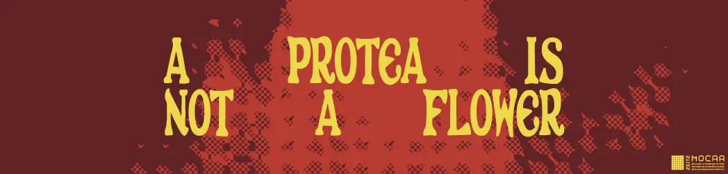 Zeitz MOCAA presents A Protea Is Not a Flower